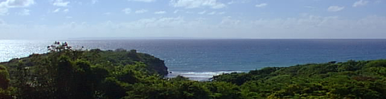 hotel Petit Havre Guadeloupe vue